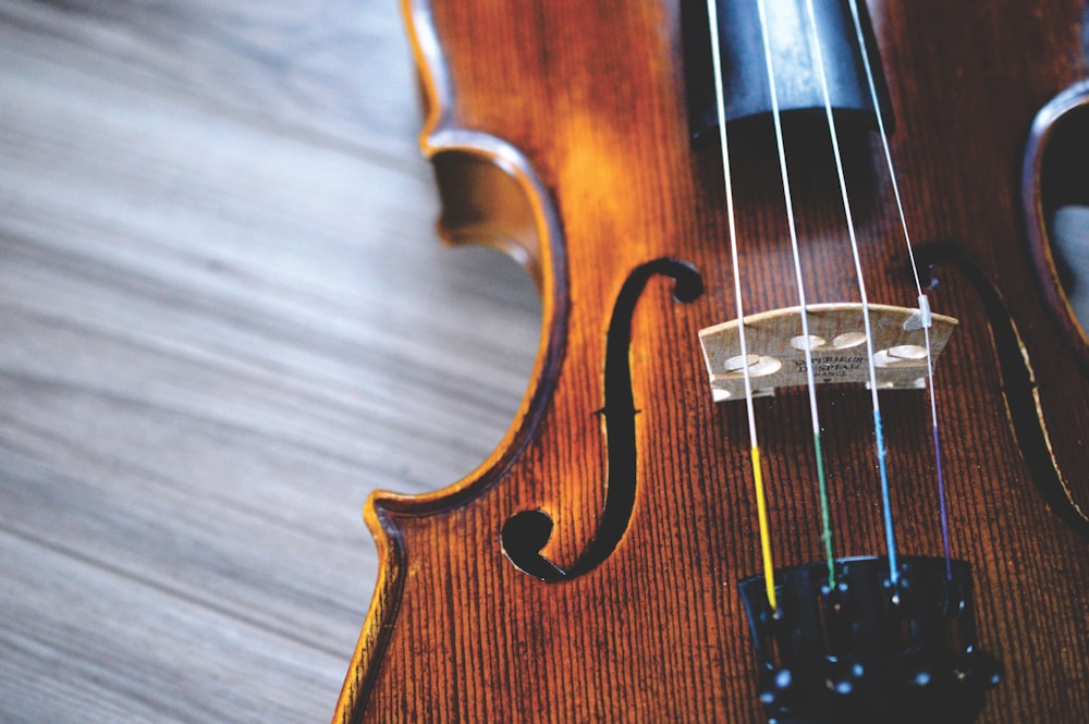 Violin strings in close-up